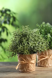 Aromatic rosemary and thyme growing in pots on wooden table outdoors