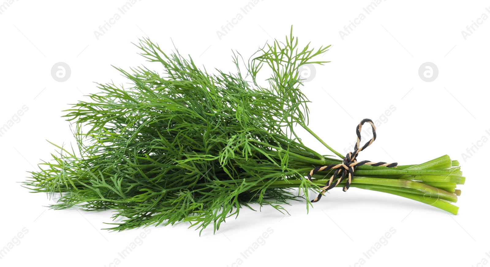 Photo of Bunch of fresh dill isolated on white