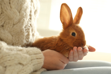 Photo of Young woman with adorable rabbit indoors, closeup. Lovely pet