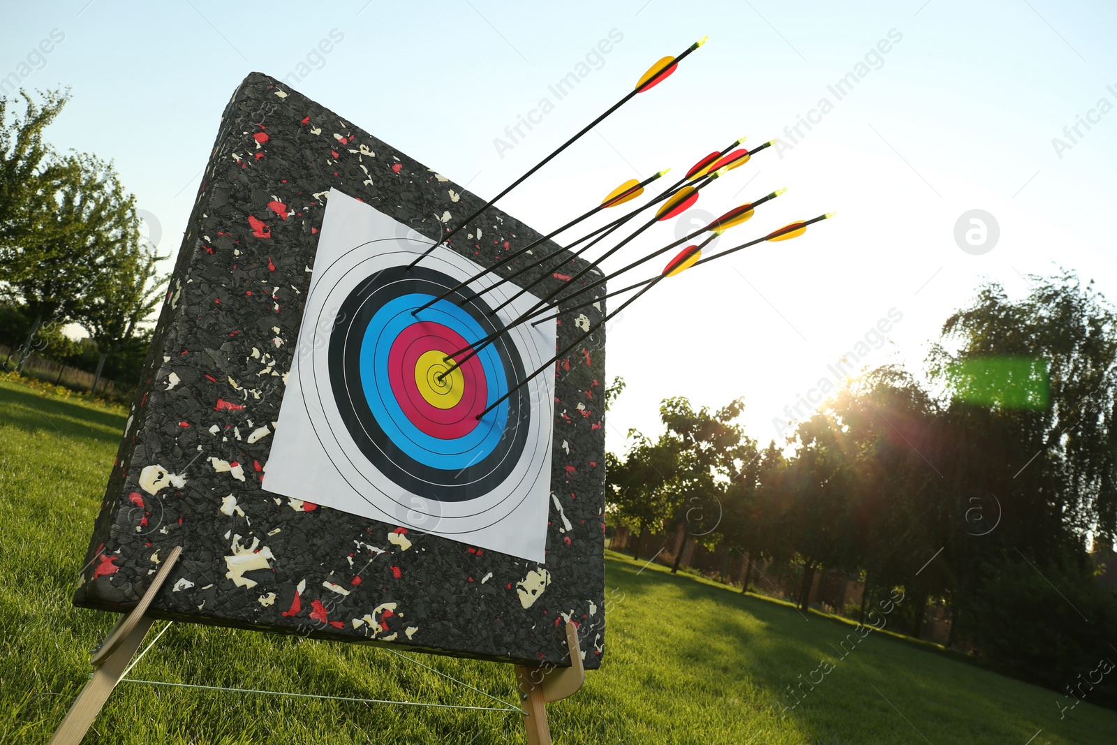 Photo of Arrows in archery target on green grass outdoors