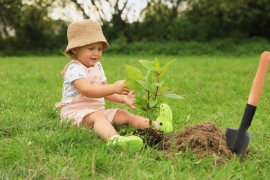 Photo of Cute baby girl planting tree in garden