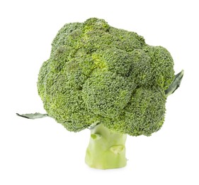 Photo of Fresh raw green broccoli isolated on white