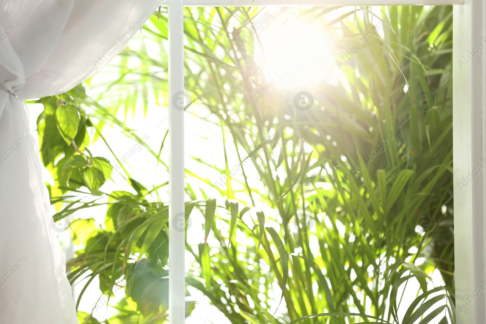 Photo of Beautiful view through window on garden in morning