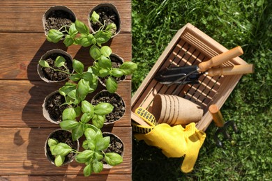 Photo of Beautiful seedlings in peat pots on wooden table and crate with gardening tools outdoors, top view