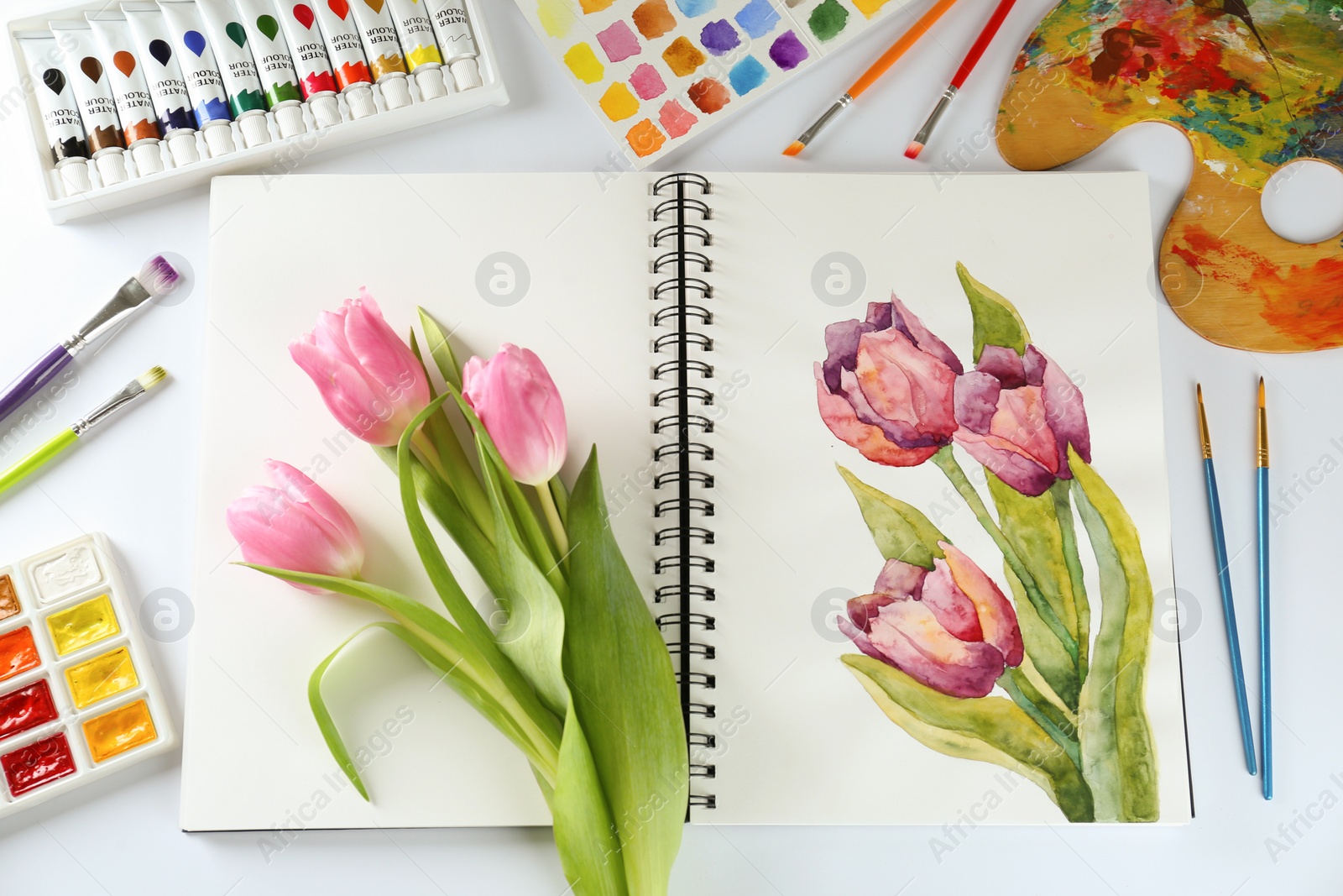 Photo of Painting of tulips in sketchbook, flowers and drawing supplies on white background, flat lay