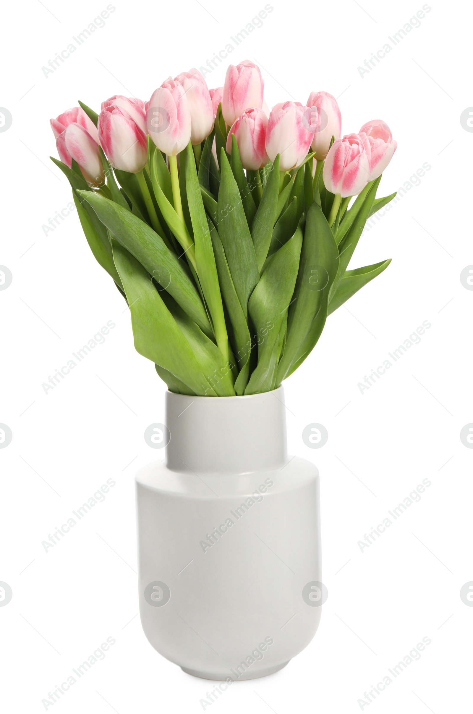 Photo of Bouquet of beautiful tulips in vase isolated on white