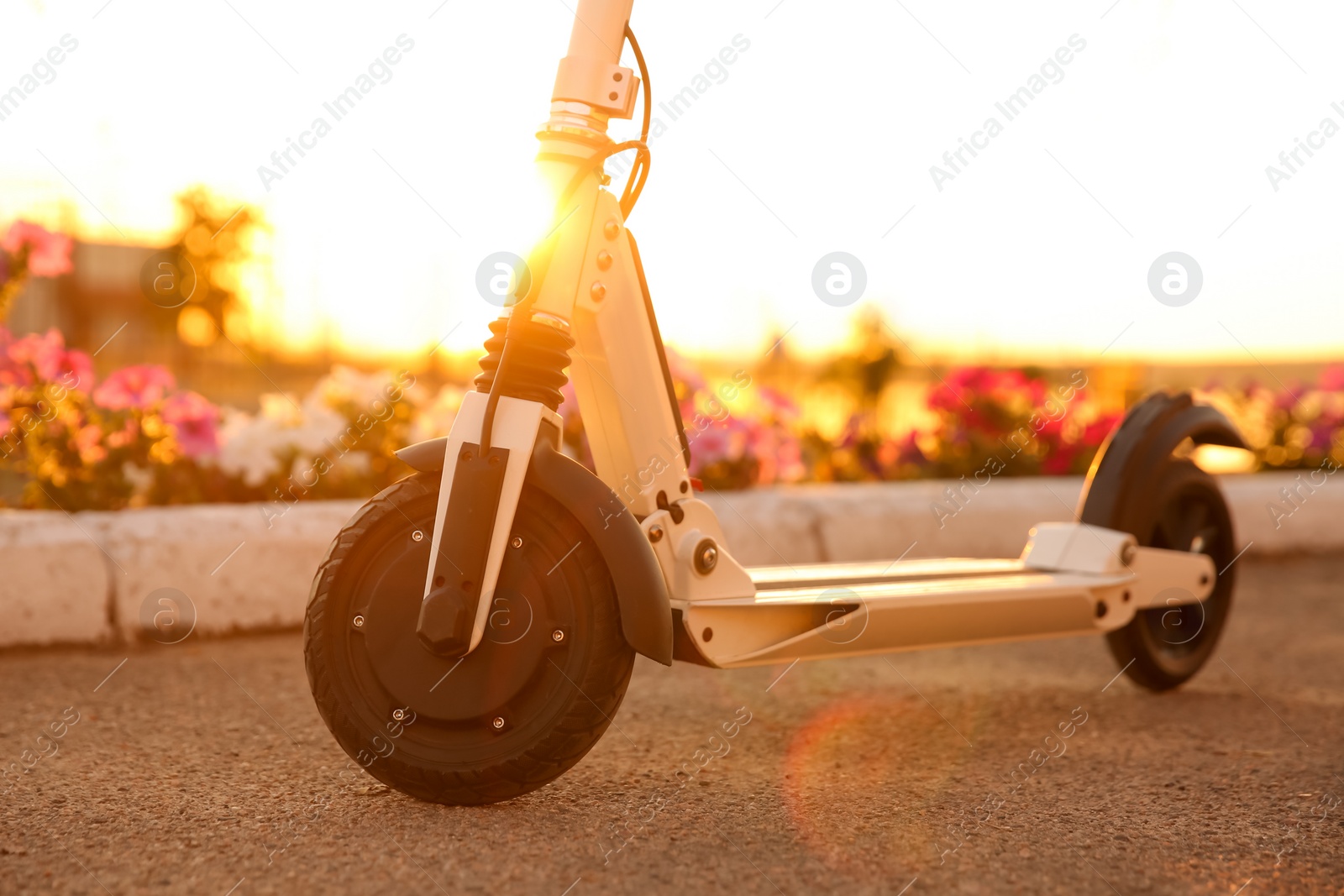 Photo of Modern electric kick scooter outdoors on sunny day, closeup