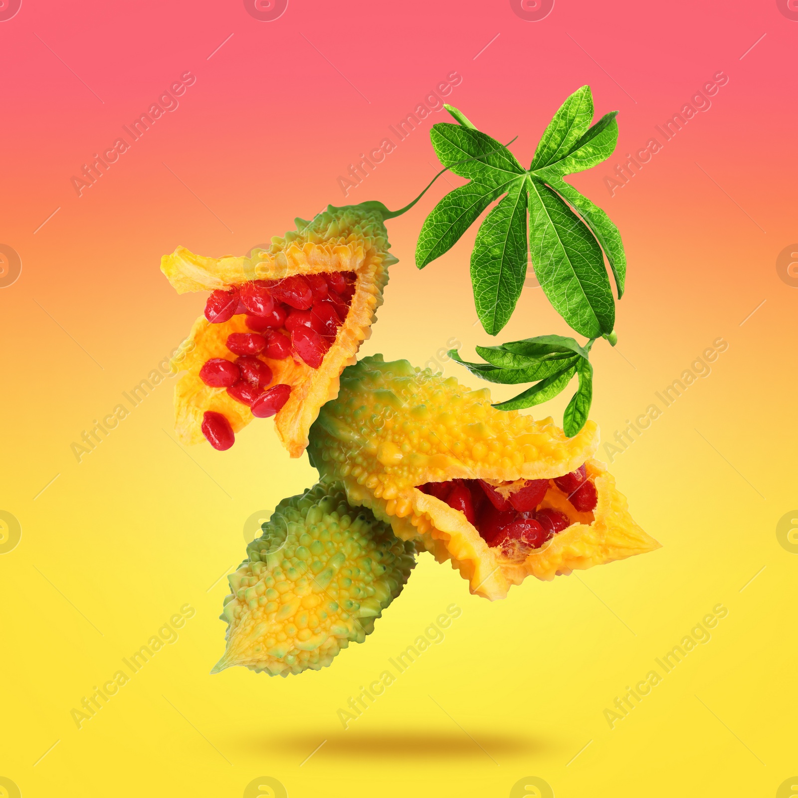 Image of Delicious ripe bitter melons and leaves falling on color background