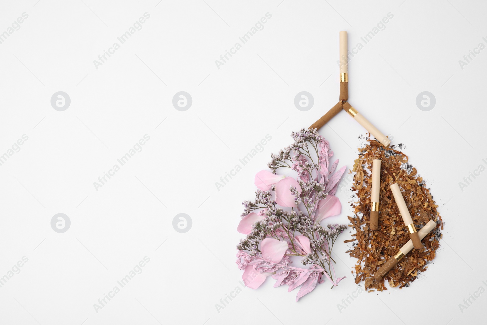 Photo of No smoking concept. Lungs made of dry tobacco, cigarettes and flowers on white background, flat lay with space for text