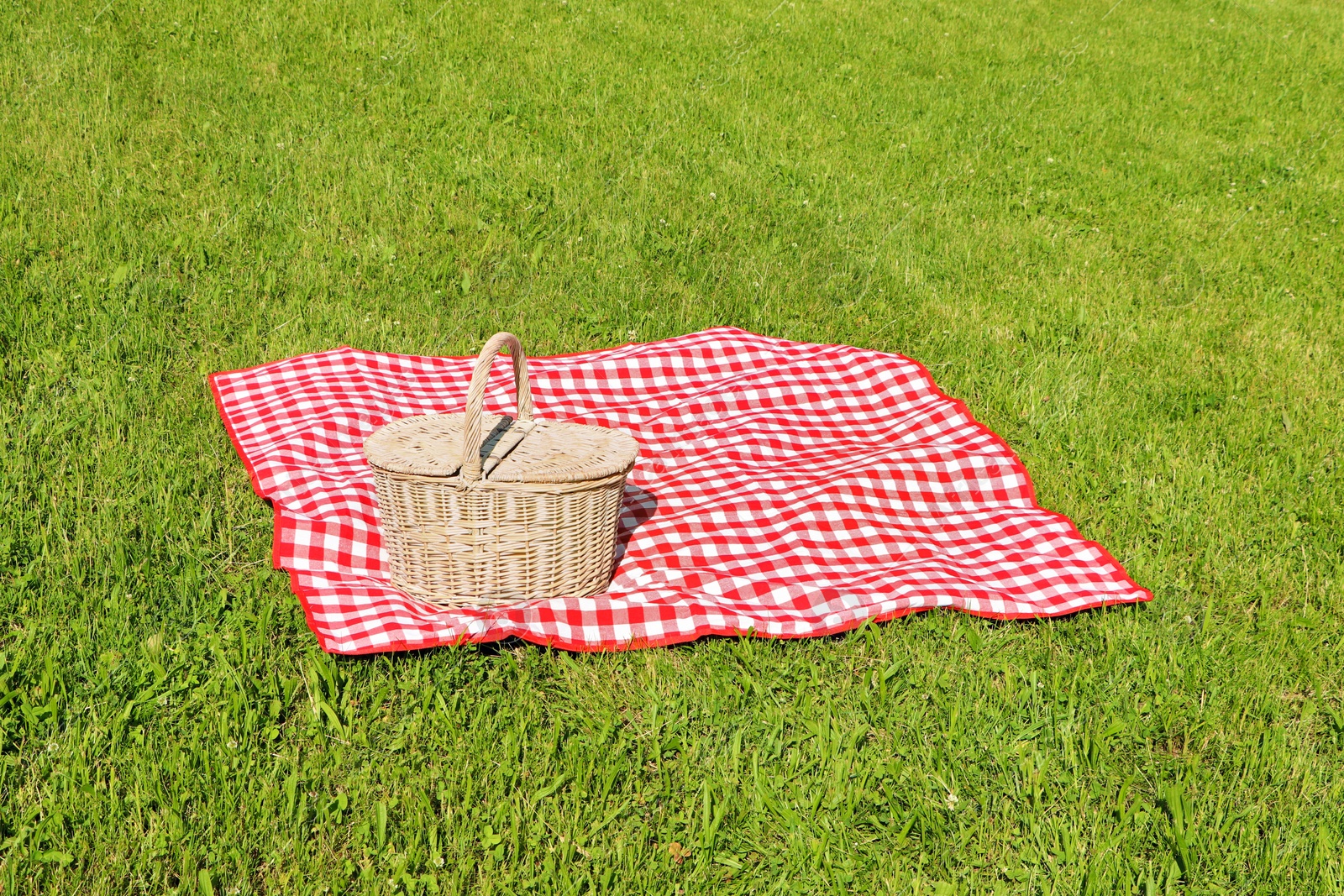 Photo of Picnic basket with checkered tablecloth on green grass outdoors