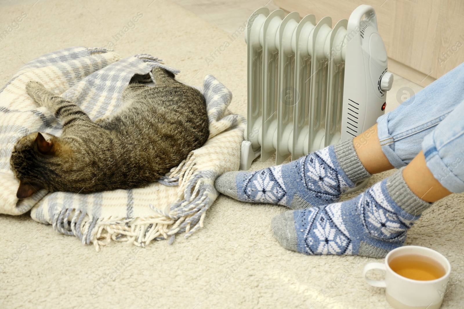 Photo of Young woman and cute tabby cat near electric heater at home, closeup