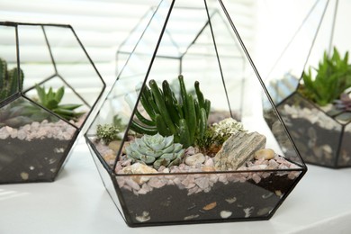 Photo of Glass florarium vases with succulents on white windowsill indoors, closeup