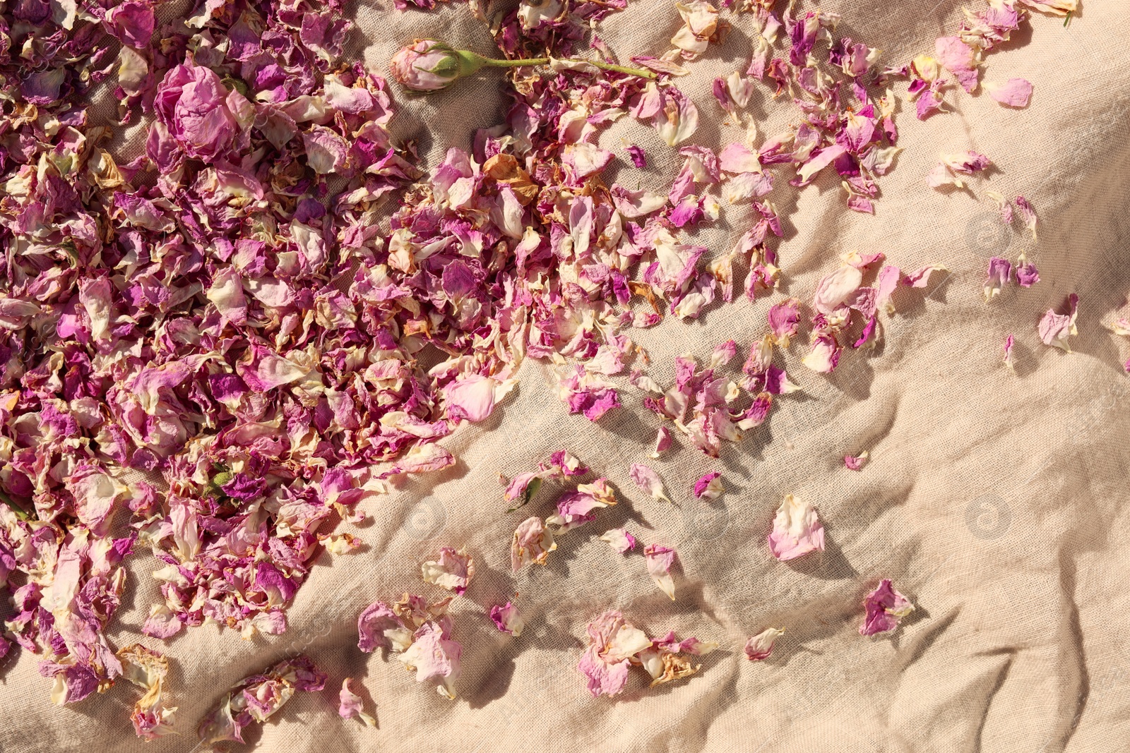 Photo of Scattered dried tea rose flowers and petals on beige fabric, top view