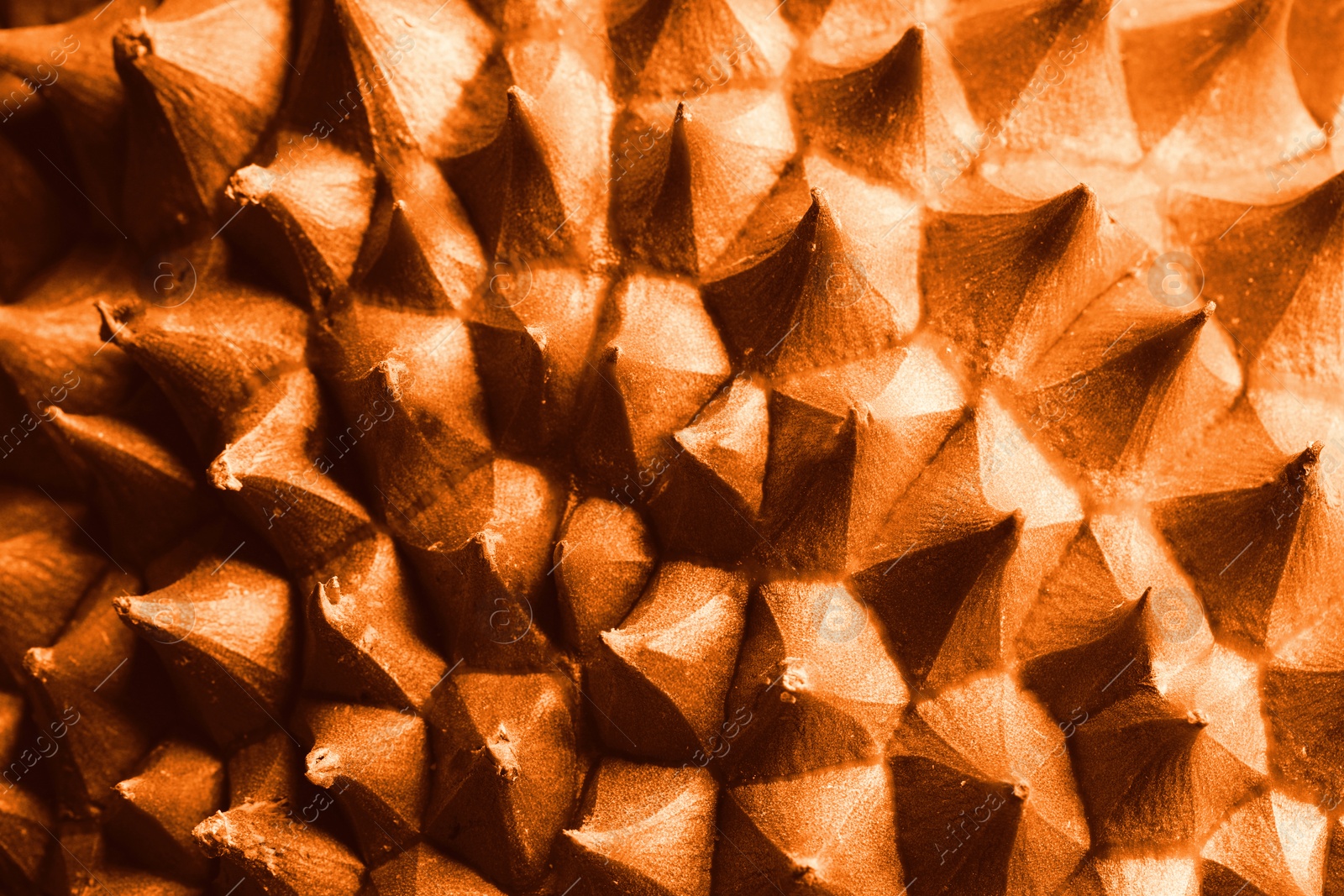 Image of Fresh ripe durian as background, closeup. Toned in orange