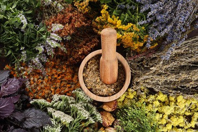 Mortar with pestle and many different herbs, top view