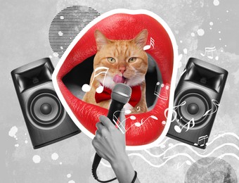 Image of Stylish singer's performance poster. Creative collage with cat, lips, microphone and sound speakers