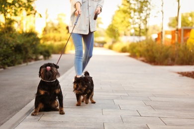 Woman walking Brussels Griffon dogs in park