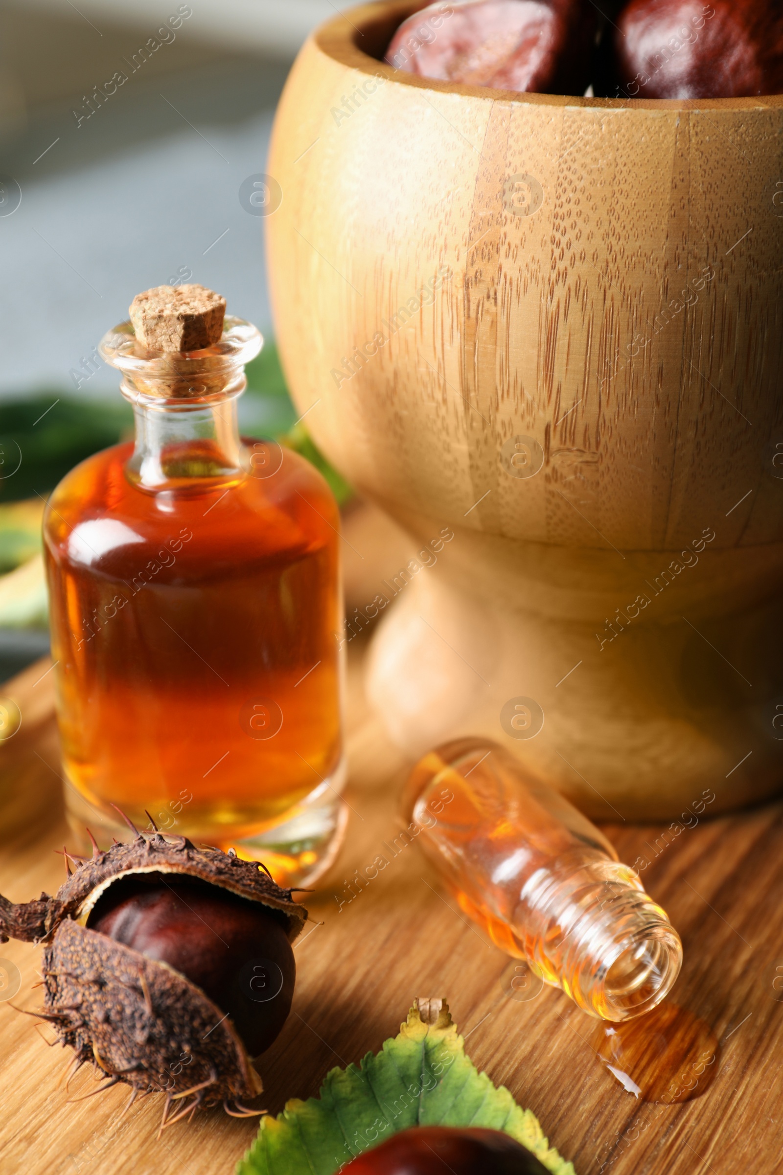 Photo of Horse chestnuts, leaves and bottles of tincture on wooden table
