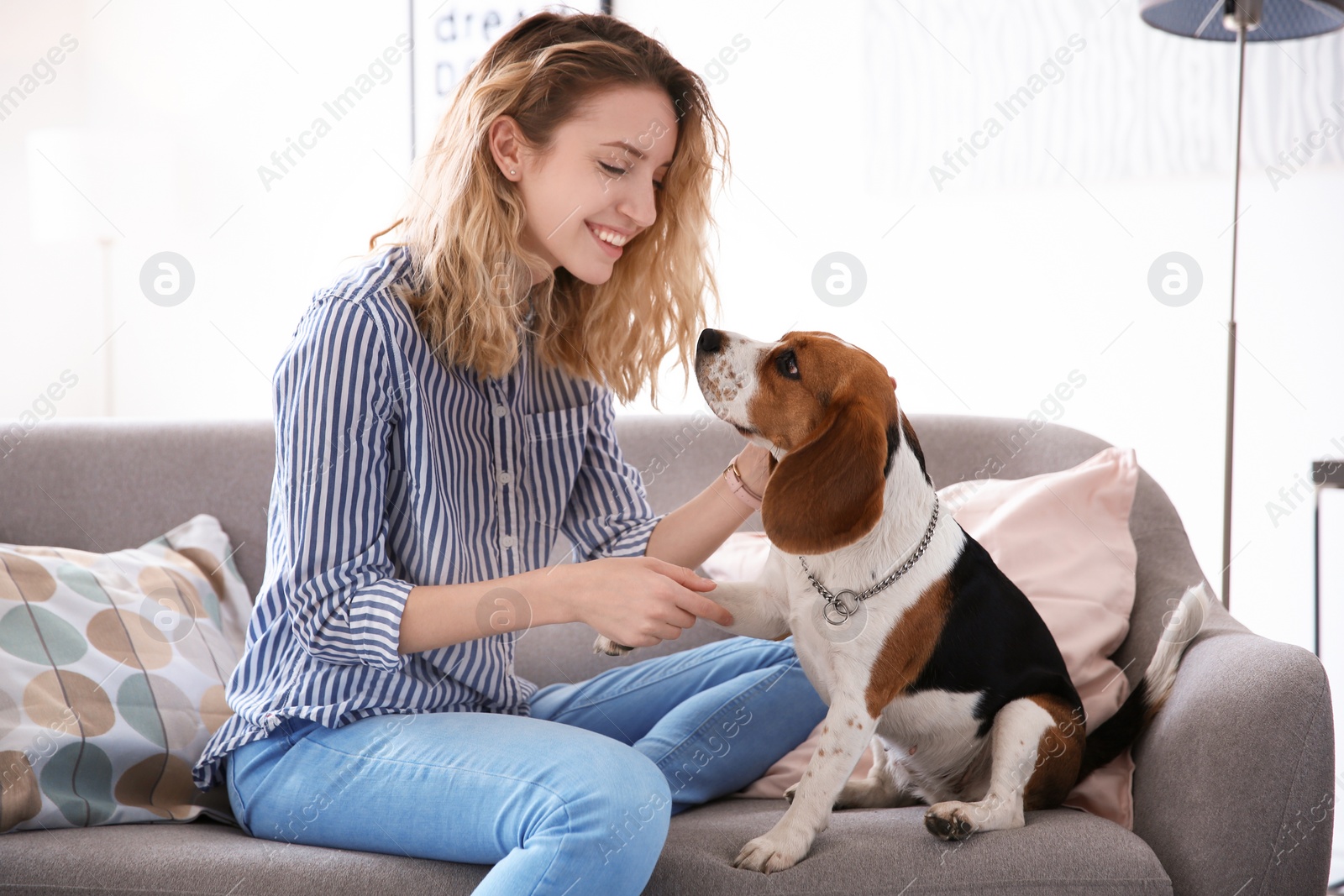 Photo of Young woman with her dog on sofa at home