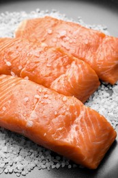 Fresh raw salmon with salt on black plate, closeup
