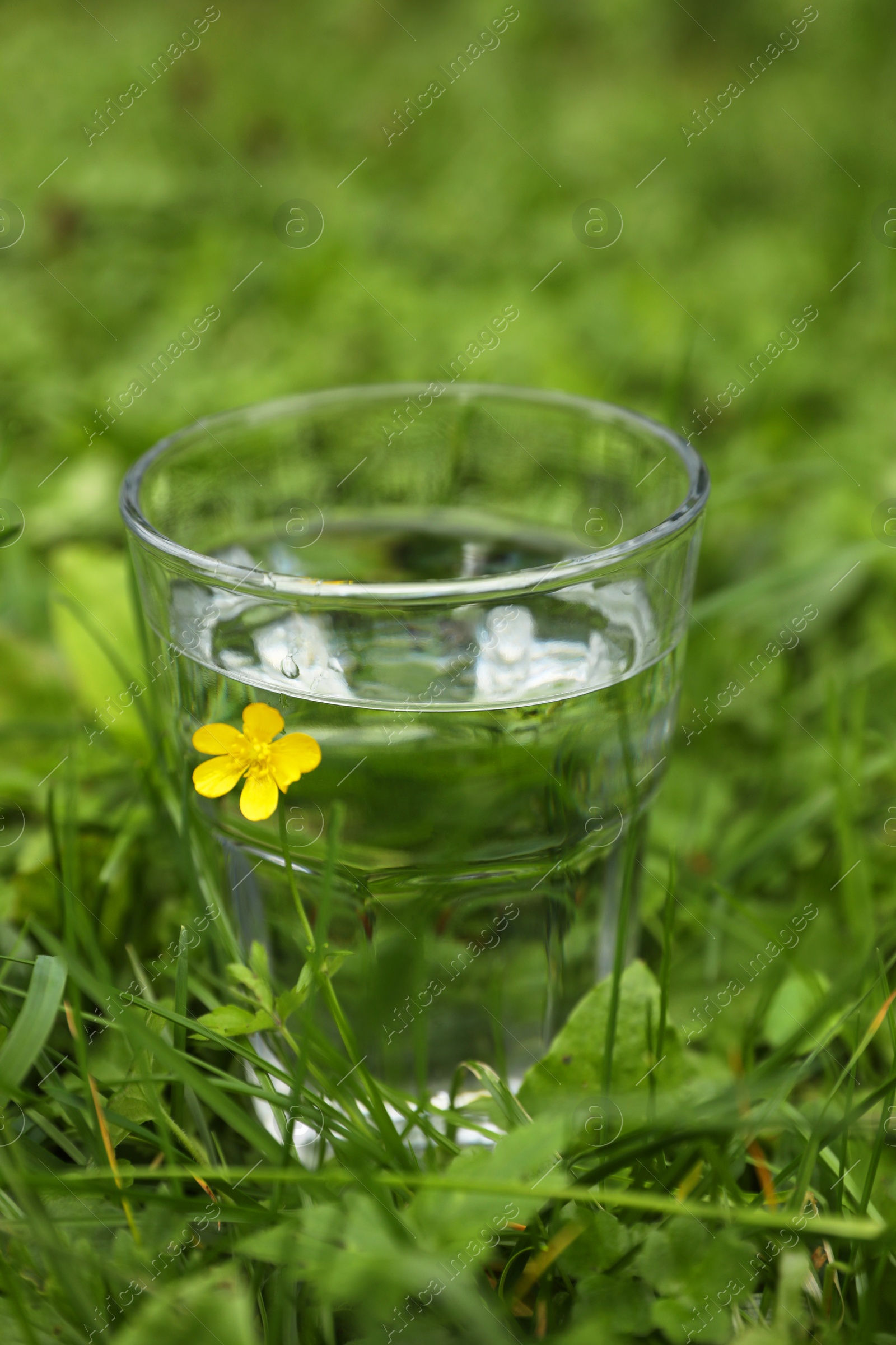 Photo of Glass of fresh water on green grass outdoors, closeup