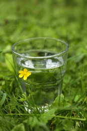 Glass of fresh water on green grass outdoors, closeup