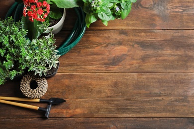 Photo of Flat lay composition with gardening tools and plants on wooden background