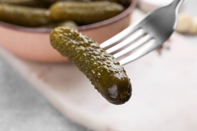 Photo of Fork with pickled cucumber over light table, closeup