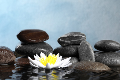 Photo of Beautiful zen garden with lotus flower and pond on light blue background