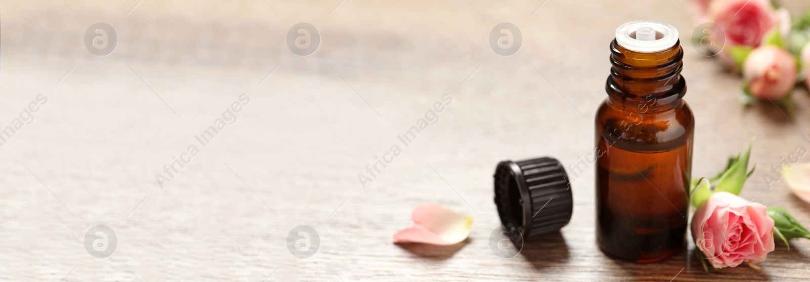 Image of Bottle of rose essential oil and fresh flowers on wooden table, space for text. Banner design