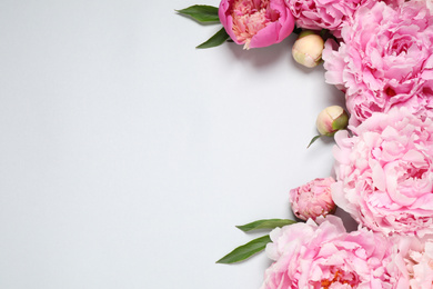 Photo of Beautiful pink peonies on light grey background, flat lay. Space for text