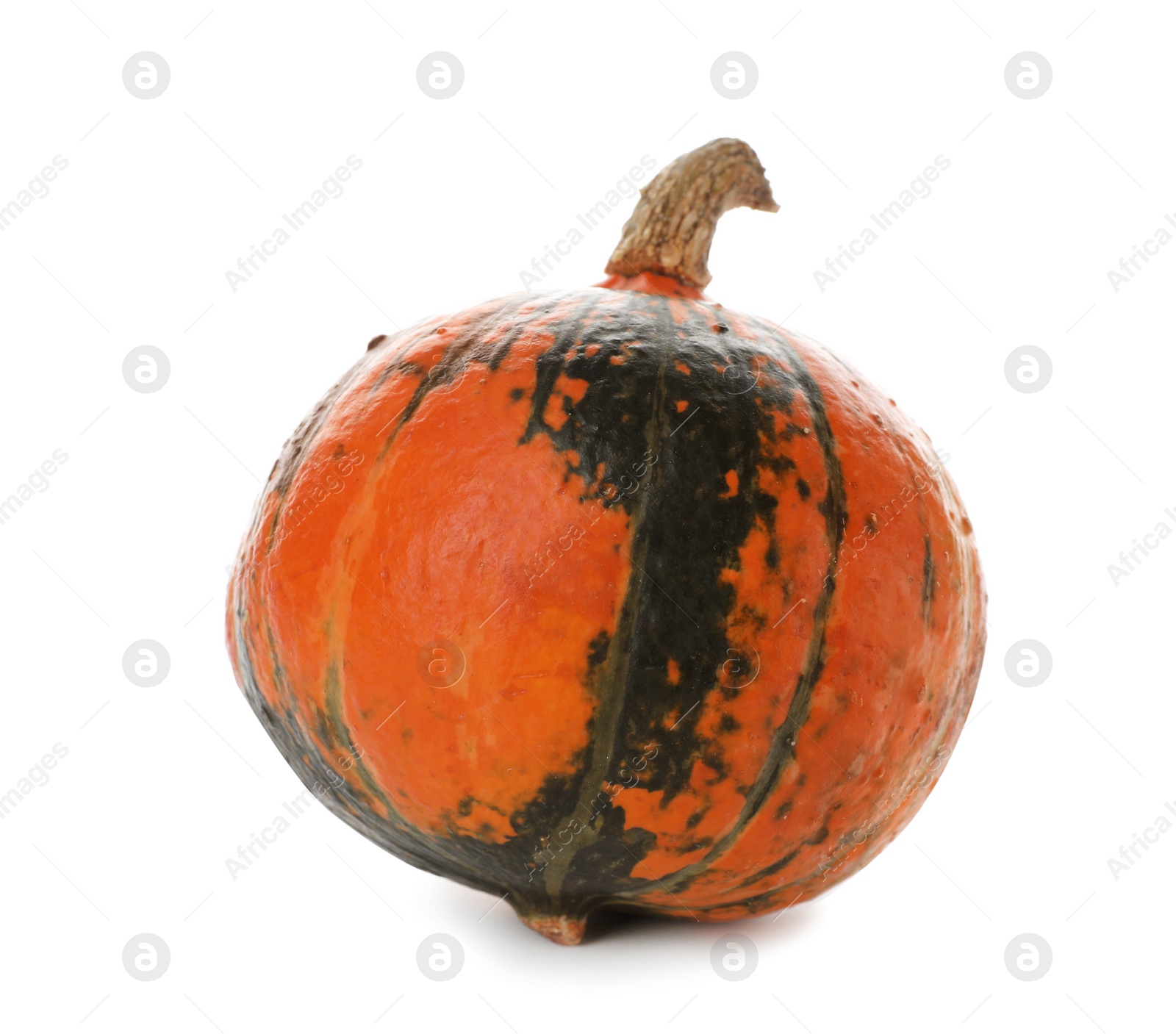 Photo of Fresh raw pumpkin isolated on white. Organic plant