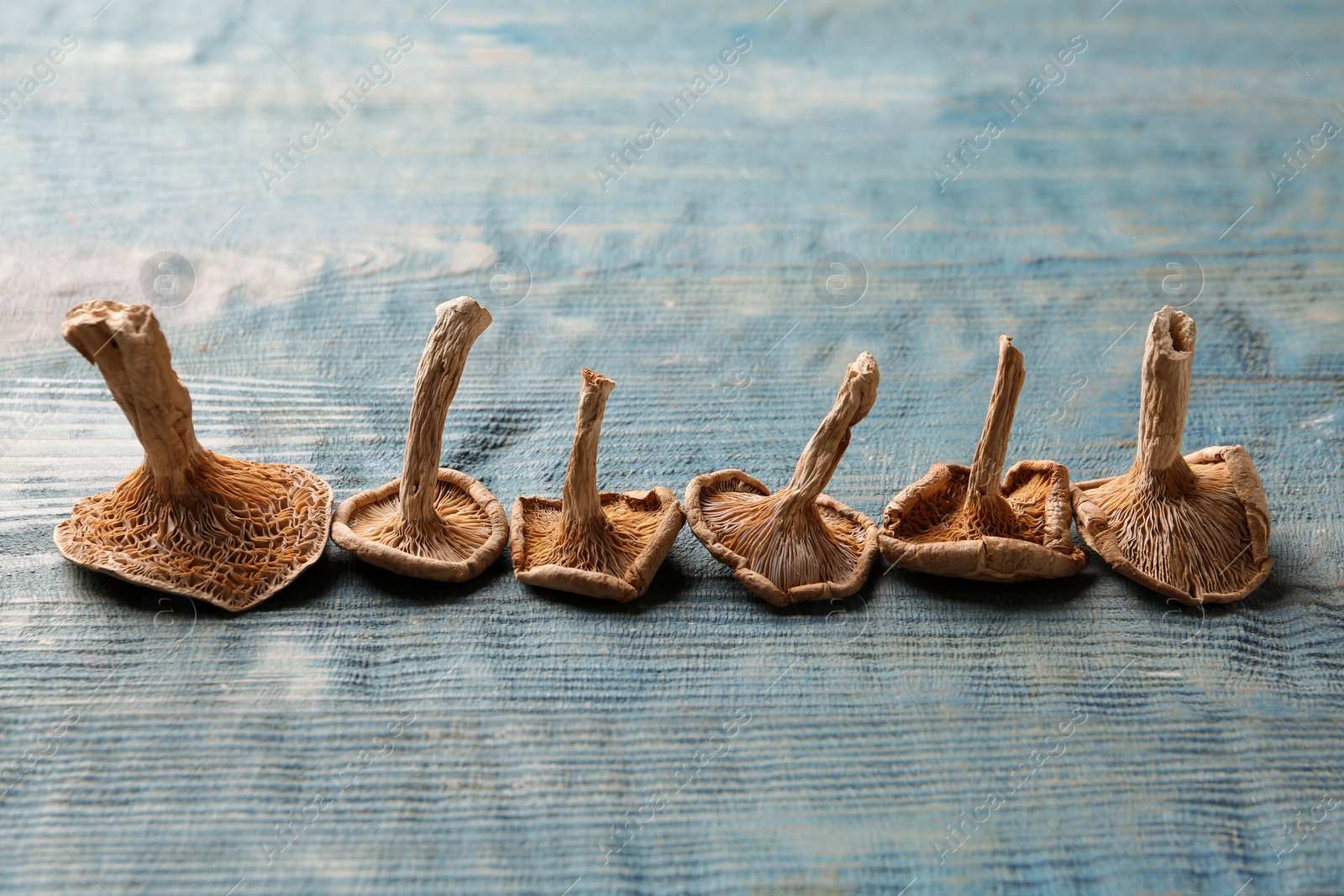 Photo of Row of dried mushrooms on color wooden background