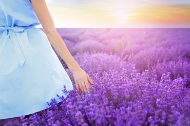 Photo of Young woman in lavender field on summer day, closeup