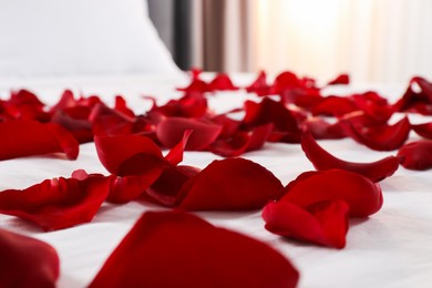 Photo of Honeymoon. Beautiful rose petals on bed, closeup