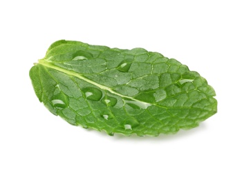 Photo of Wet leaf of fresh mint isolated on white