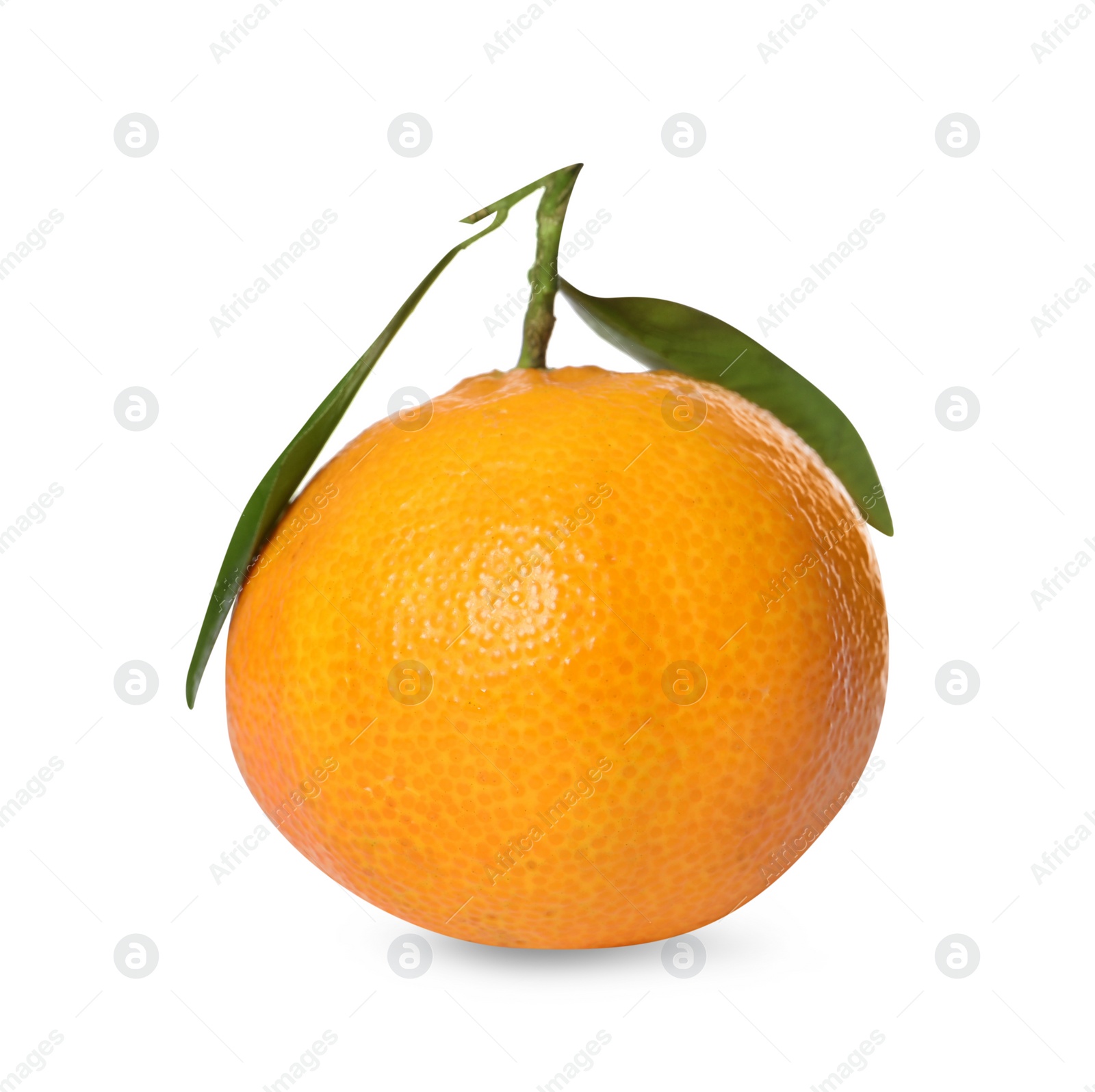 Photo of One fresh tangerine with green leaves isolated on white