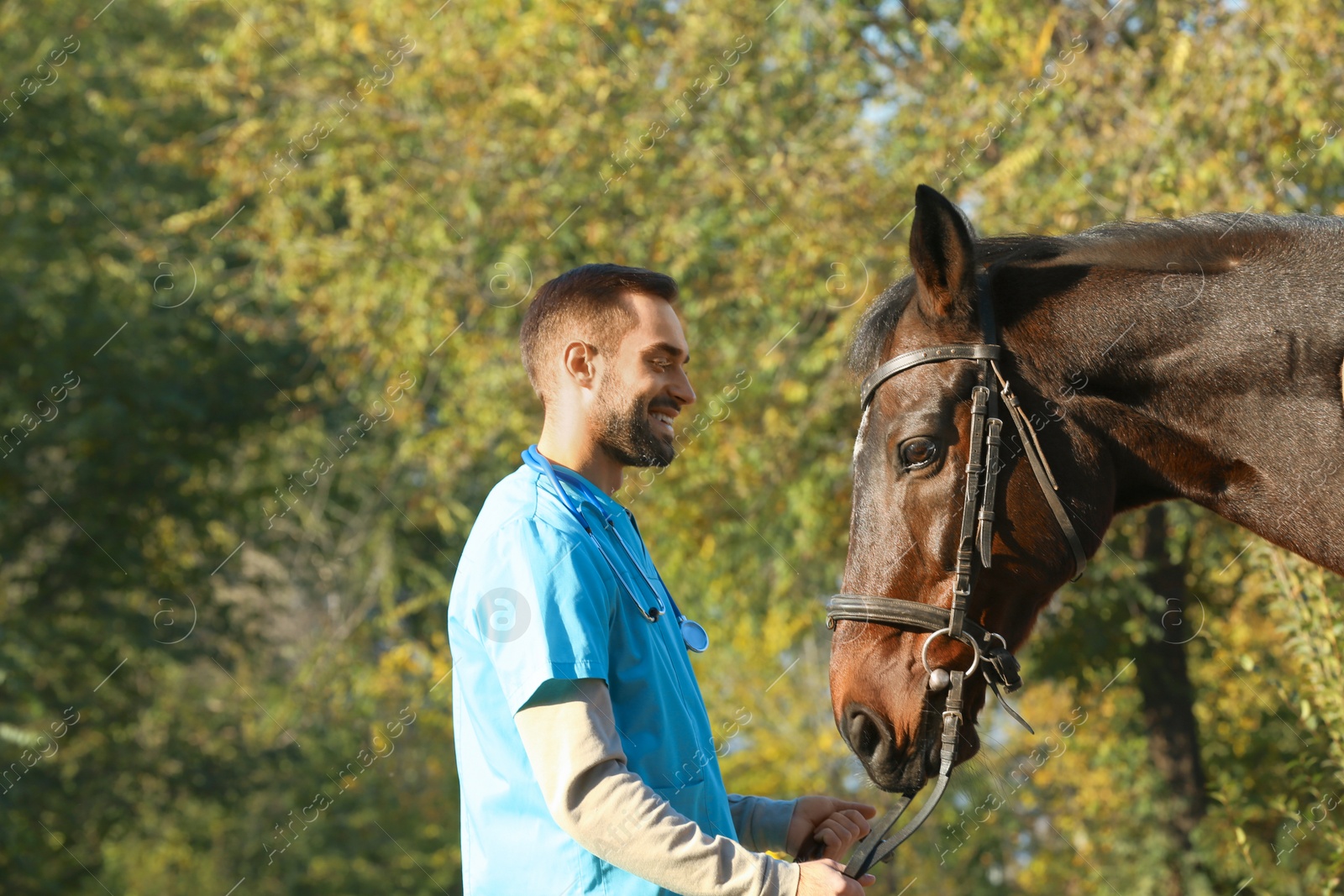 Photo of Veterinarian in uniform with beautiful brown horse outdoors. Space for text