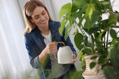 Woman watering beautiful potted houseplants at home