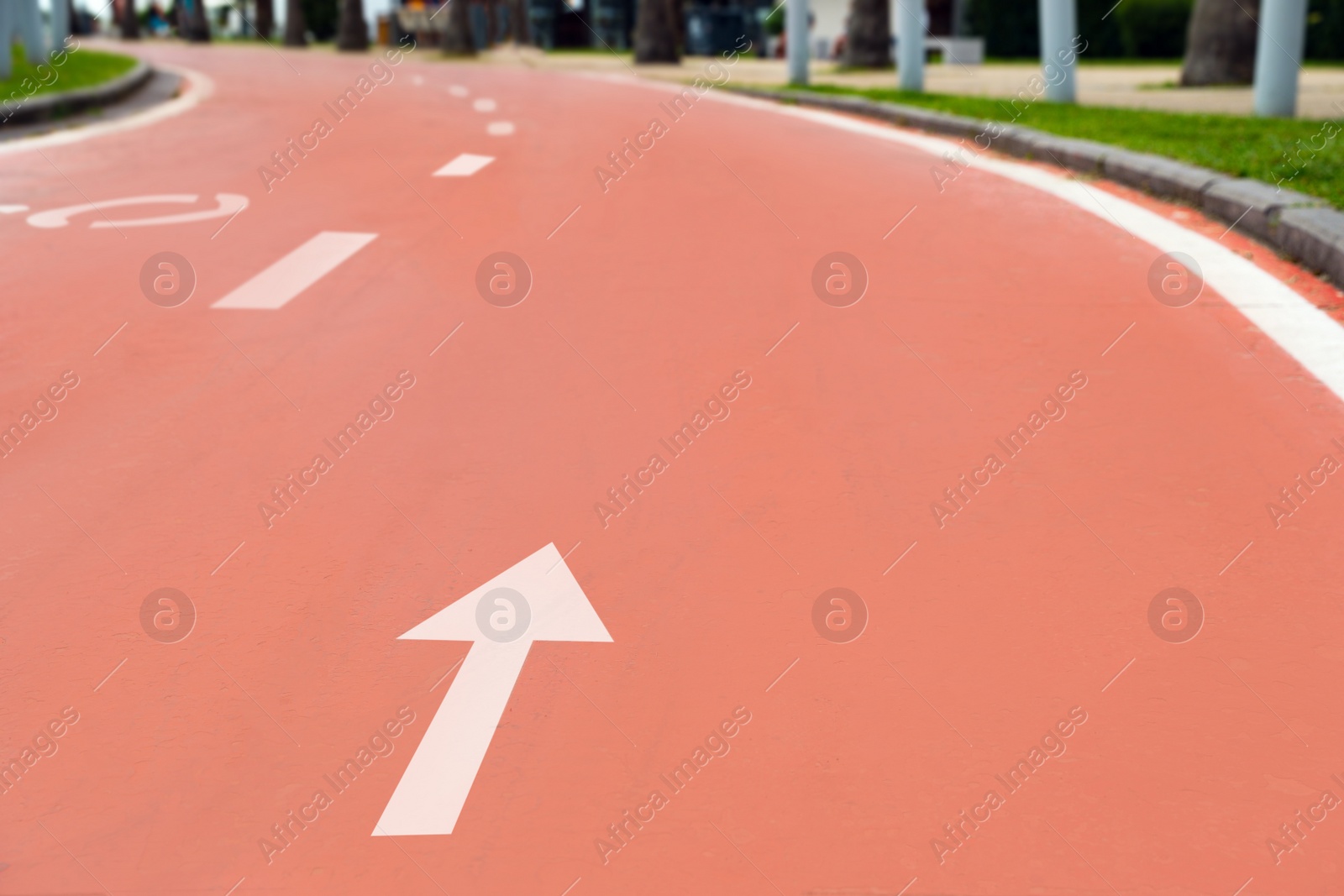 Photo of Red bike lane with painted white direction arrow