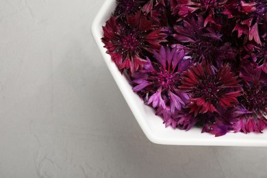 Beautiful purple cornflowers in bowl on light grey table, top view. Space for text