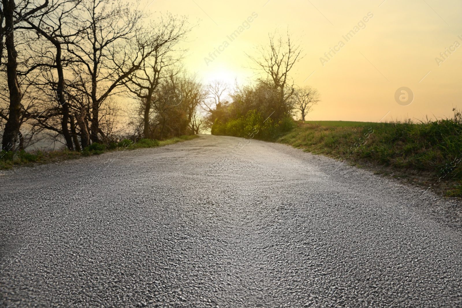 Photo of Asphalt road in countryside on sunny day