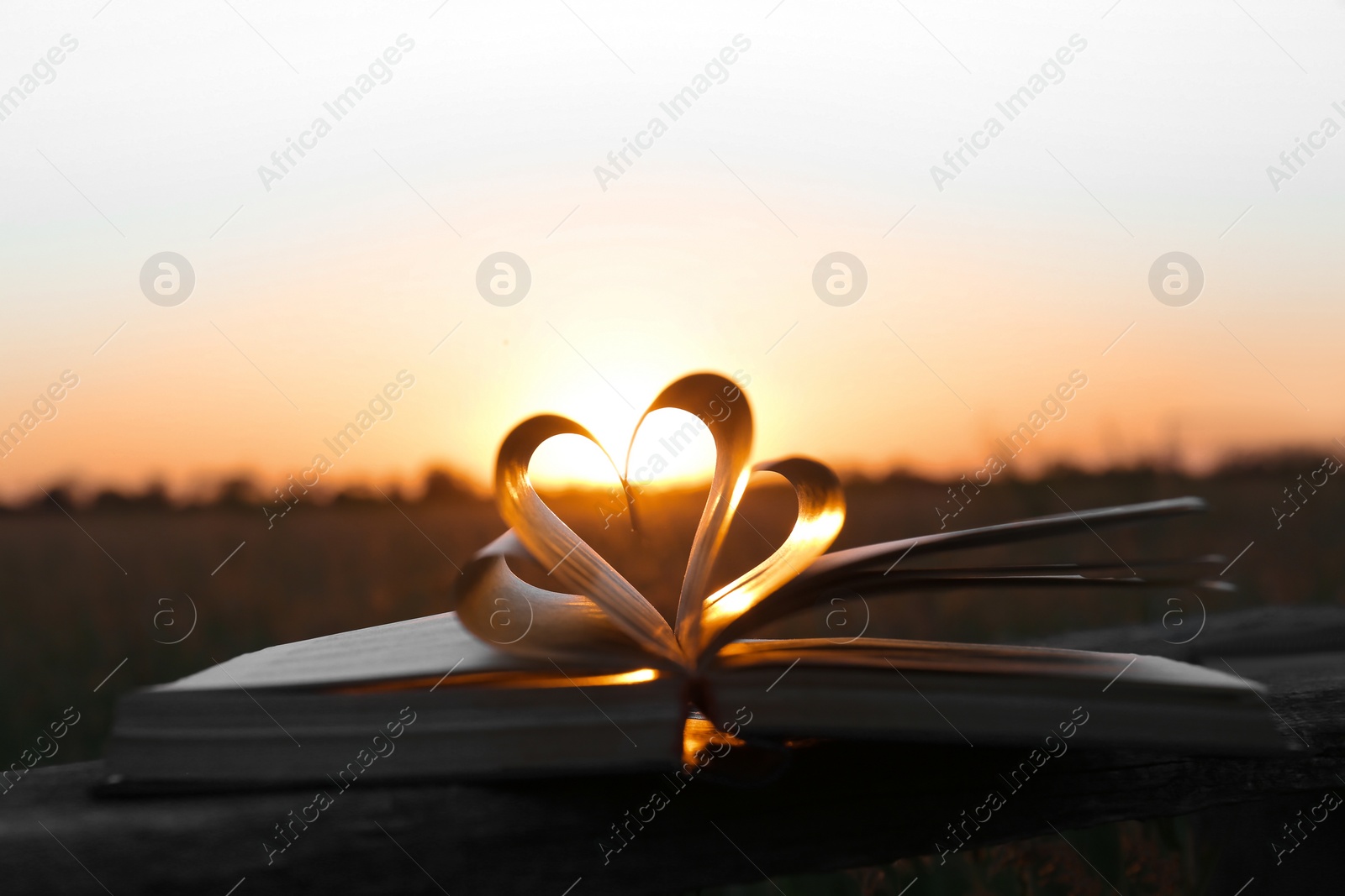 Photo of Heart made of book pages in field at sunset