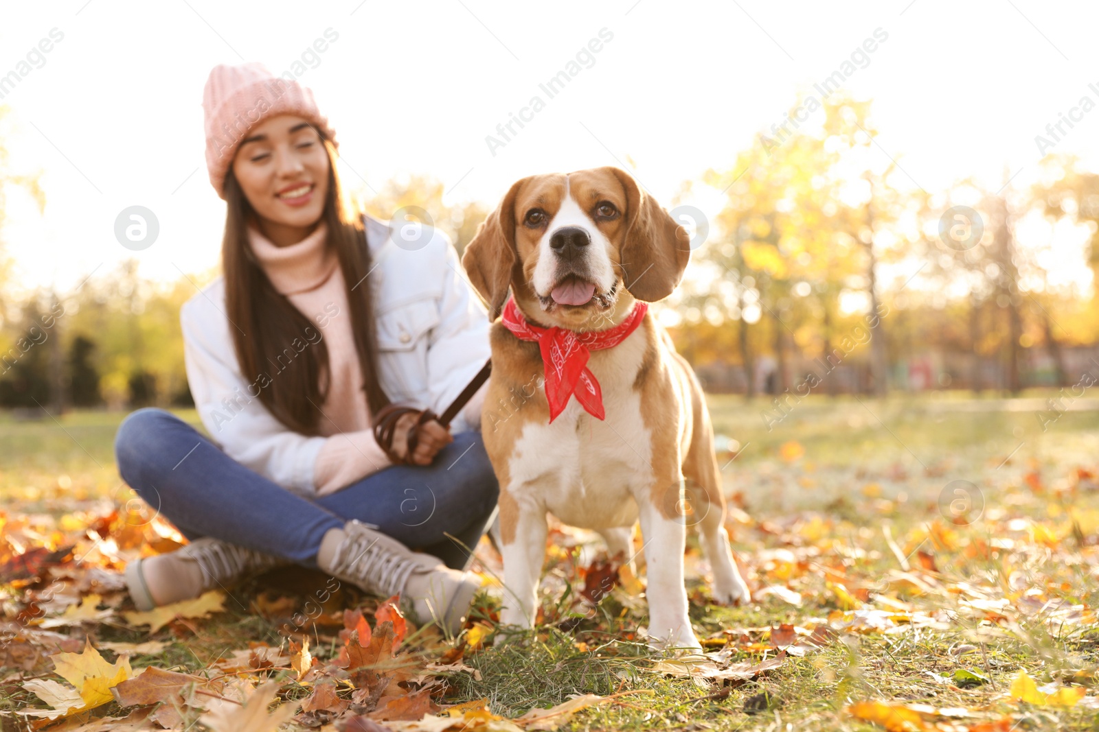 Photo of Woman walking her cute Beagle dog in autumn park