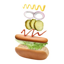 Image of Hot dog ingredients in air on white background