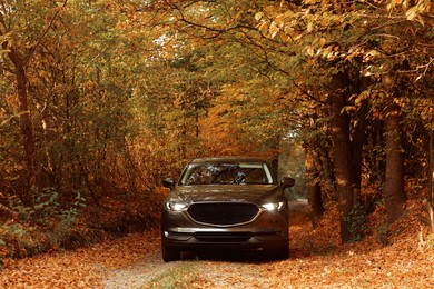 Photo of Black modern car parked in beautiful autumn forest