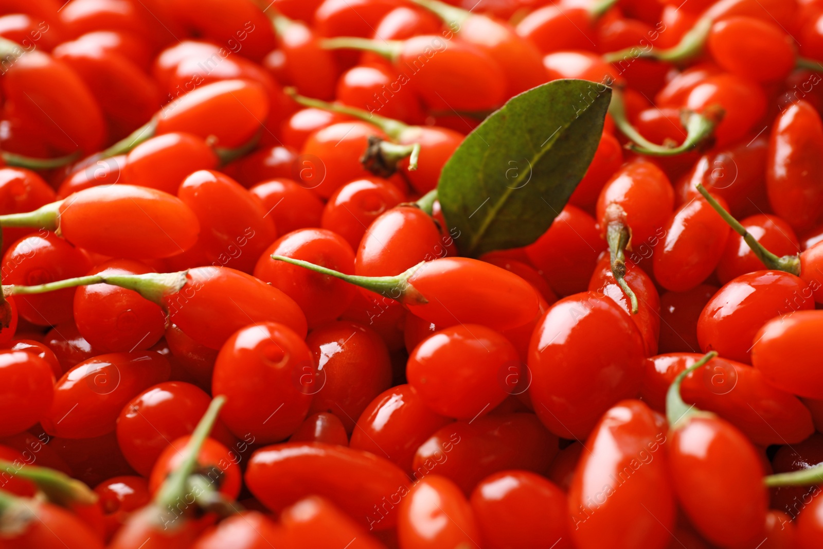 Photo of Fresh ripe goji berries as background, closeup