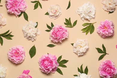 Flat lay composition with beautiful peony flowers on beige background