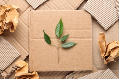 Flat lay composition with pieces of cardboard and green branch. Recycling problem