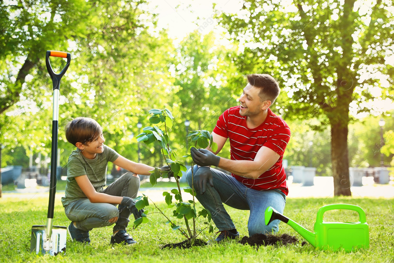 Photo of Dad and son planting tree together in park on sunny day